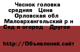 Чеснок головка  средняя › Цена ­ 150 - Орловская обл., Малоархангельский р-н Сад и огород » Другое   